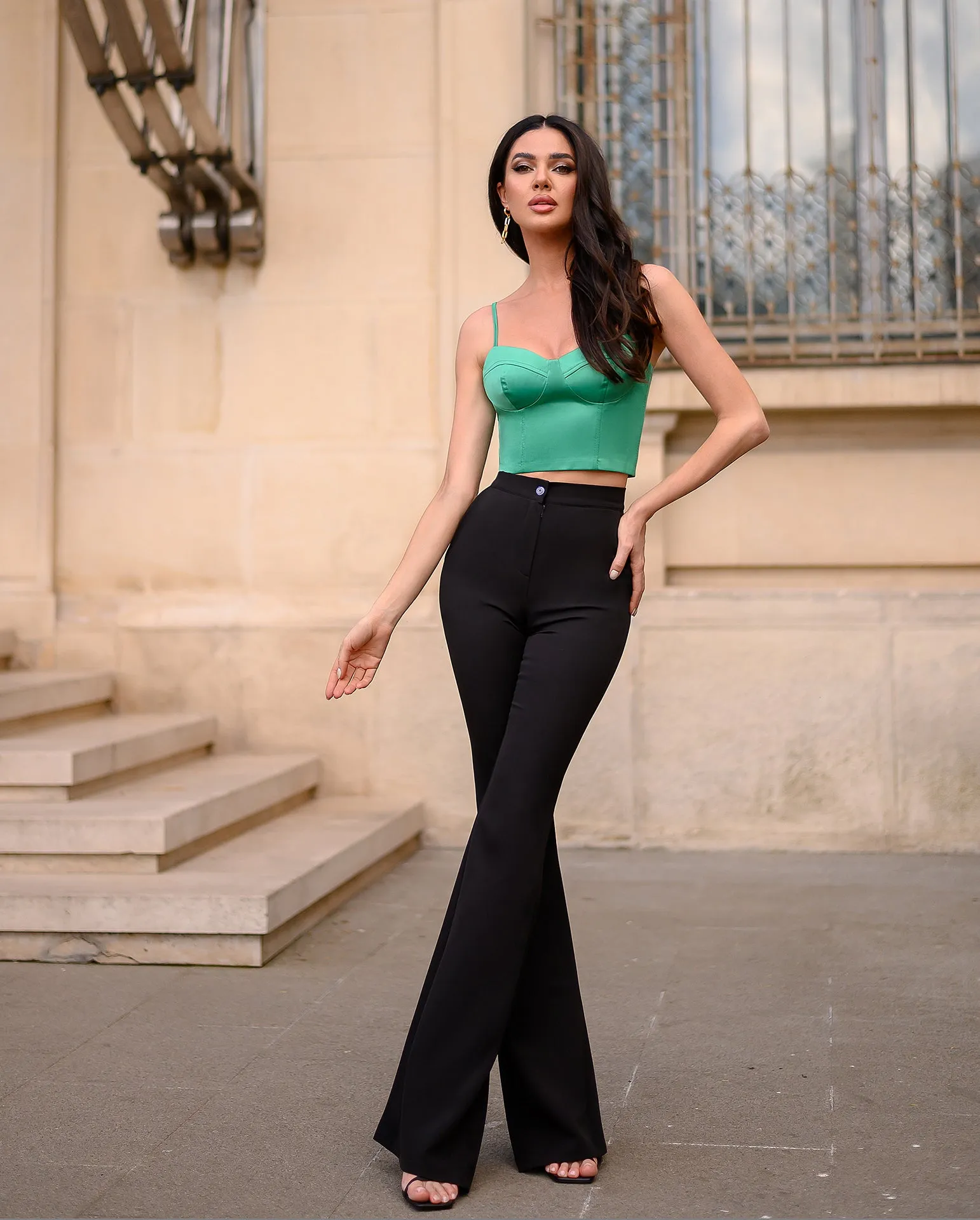 Black High Waist Fitted Flared Pants