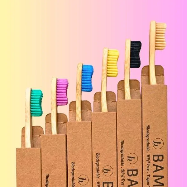 Quarterly Toothbrush Subscription