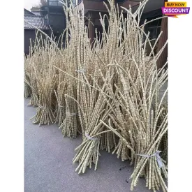 Rare & Precious Length Bamboo Root Sticks (120cm / 47.2") for Varied Handicrafts