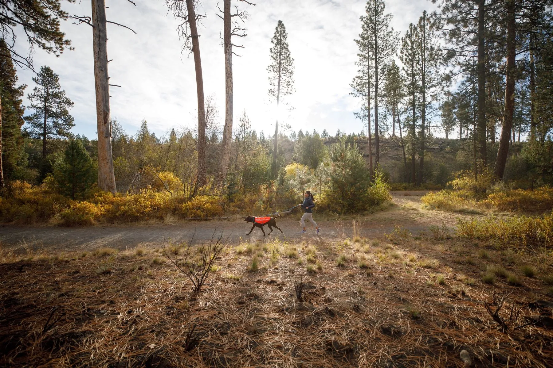 Ruffwear Track Jacket for Dogs