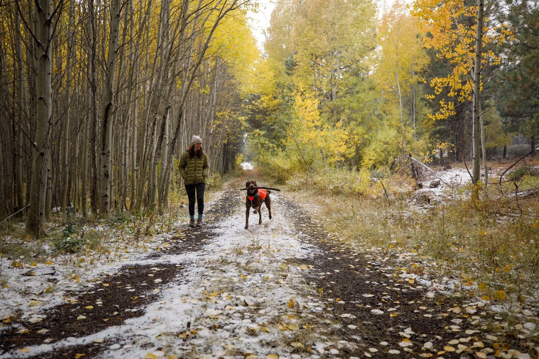 Ruffwear Track Jacket for Dogs