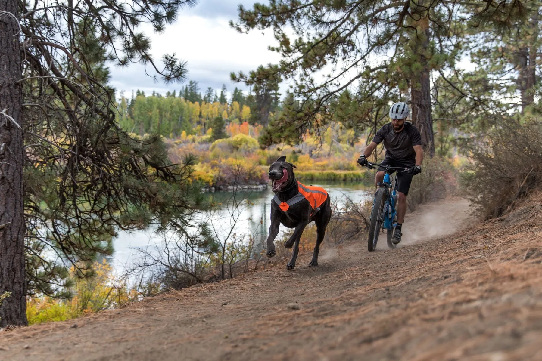 Ruffwear Track Jacket for Dogs