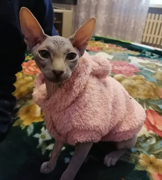 Super Soft Fuzzy Bunny Hoodie